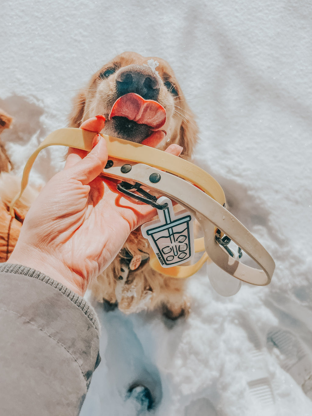 Dog Waterproof Leash - Beige