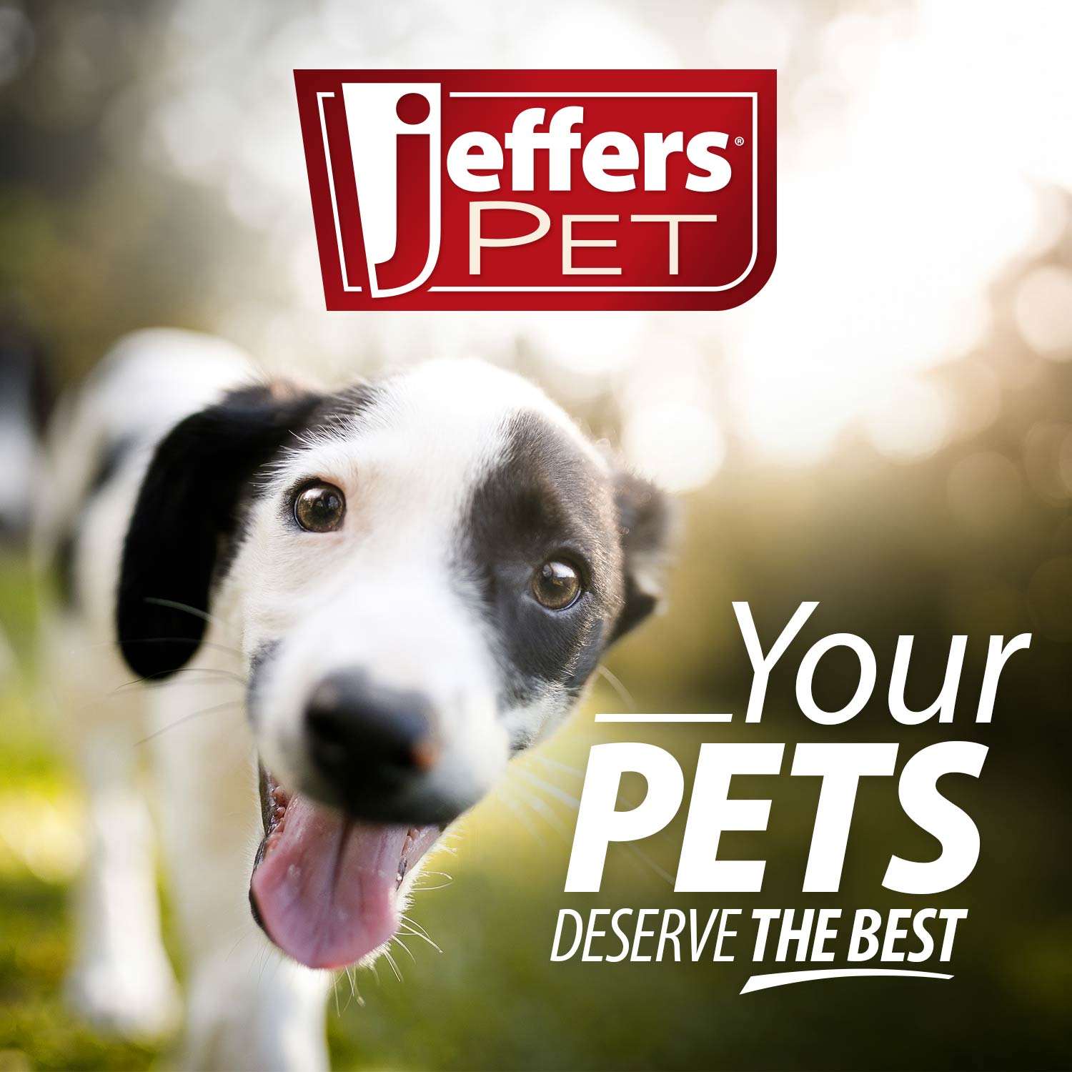 Jeffers Tomato Shaped Natural Rubber Treat Dispensing Dental Dog Chew Toy for Medium-Chewers