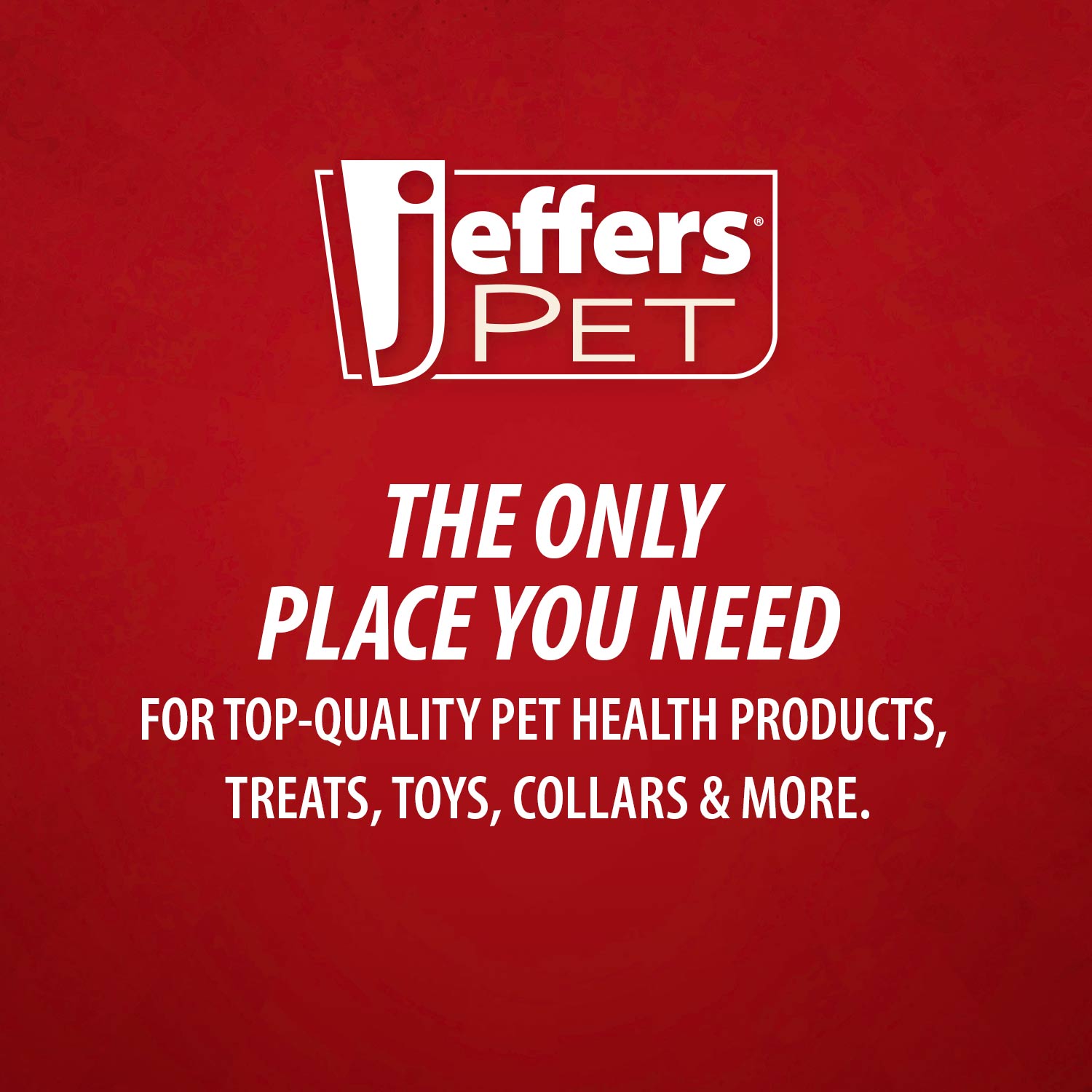 Jeffers Corn Cob Natural Rubber Treat Dispensing Dog Chew Toy with Dental Benefits
