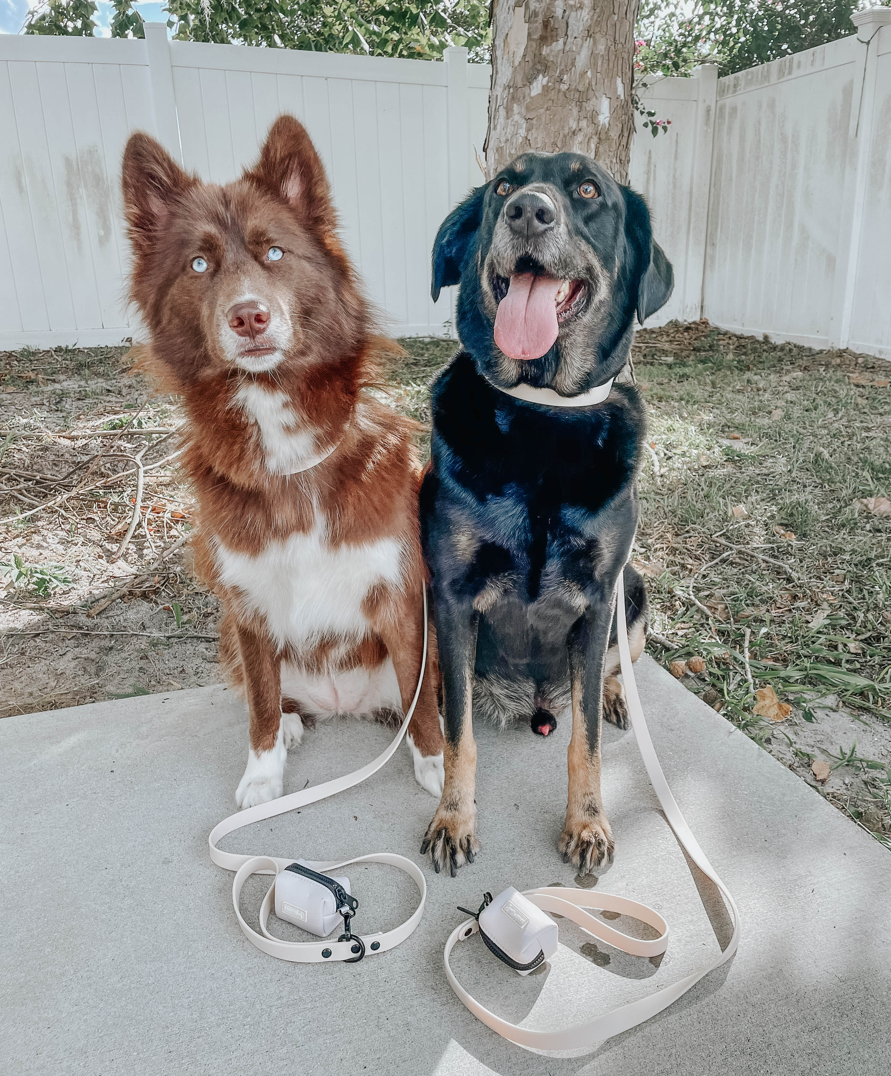 Dog Waterproof Leash - Beige