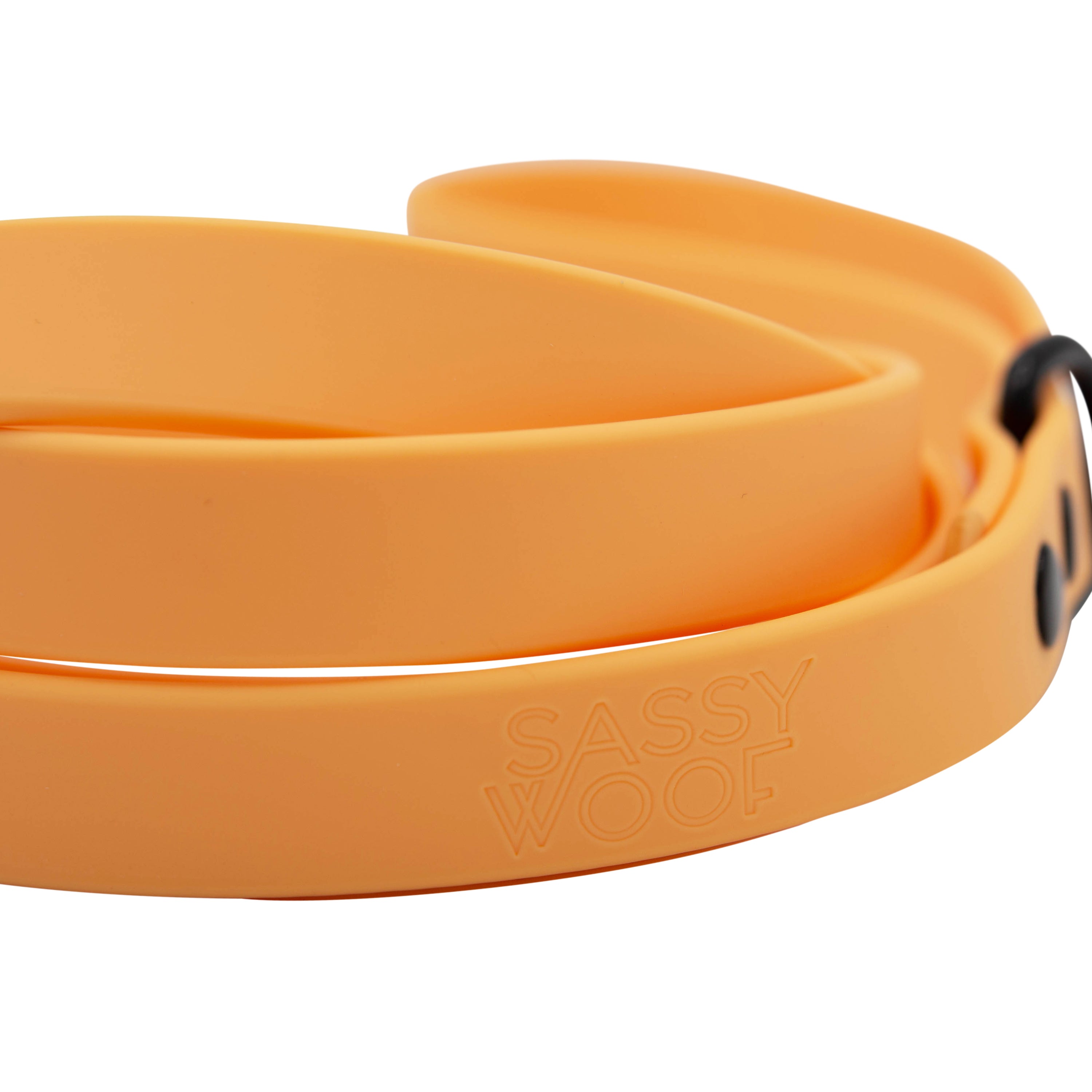 Dog Waterproof Leash - Orange