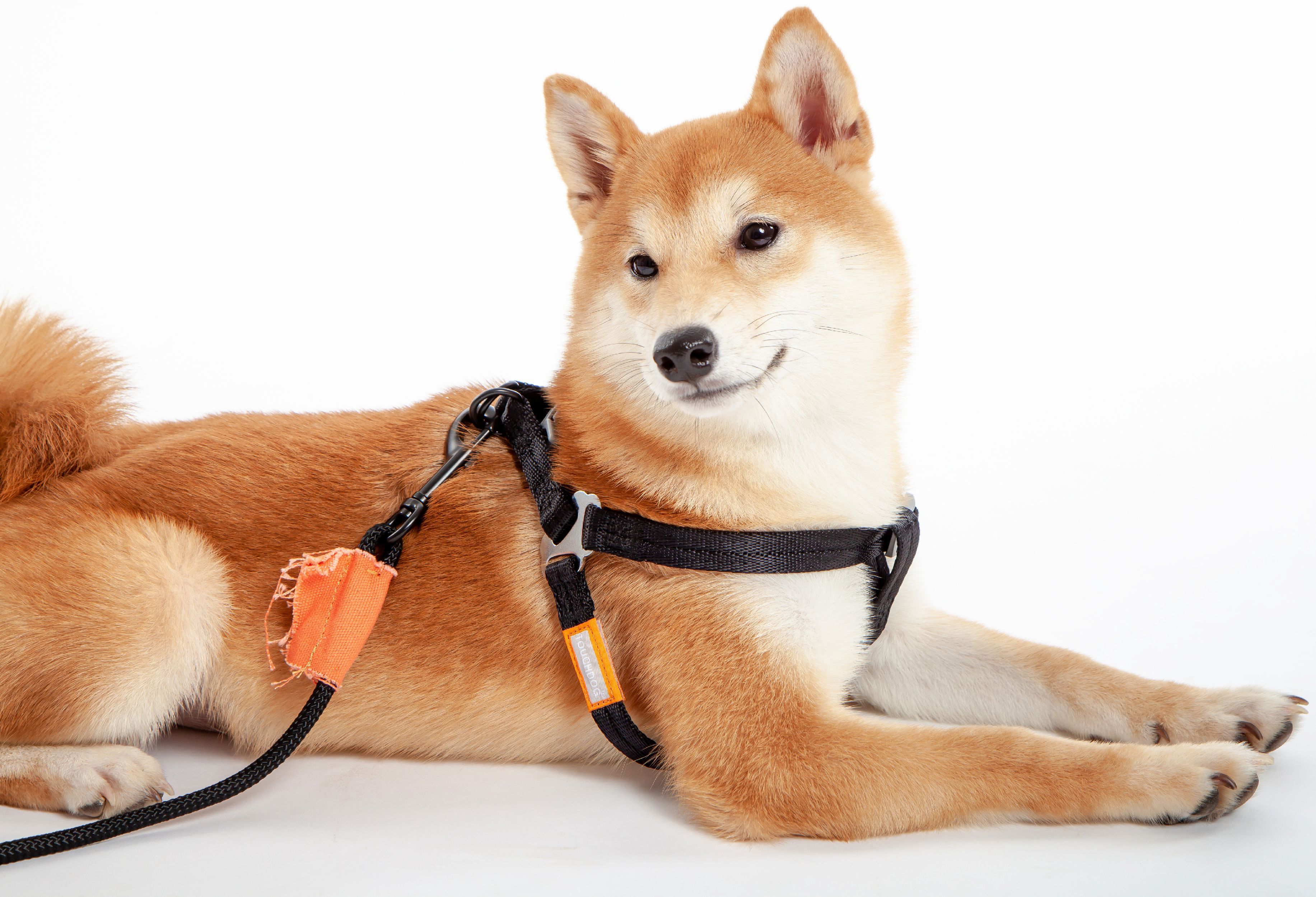 Touchdog ® 'Macaron' 2-in-1 Durable Nylon Dog Harness and Leash